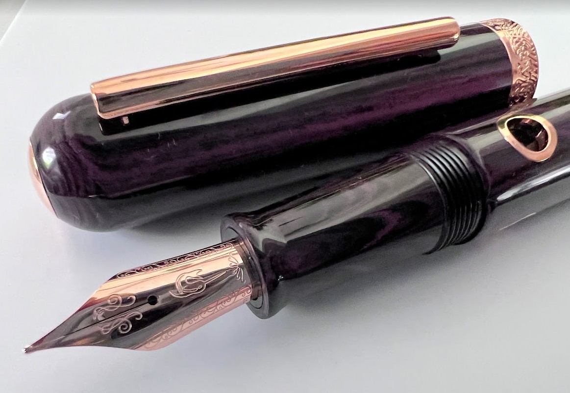 Nahvalur Nautilus Stylophora Berry Fountain Pen